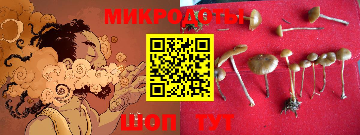 Псилоцибиновые грибы Psilocybe  Вход с VPN  Апатиты  Галлюциногенные грибы Psilocybine cubensis 